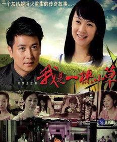 好电视剧推荐,盘点年度必看电视剧佳作